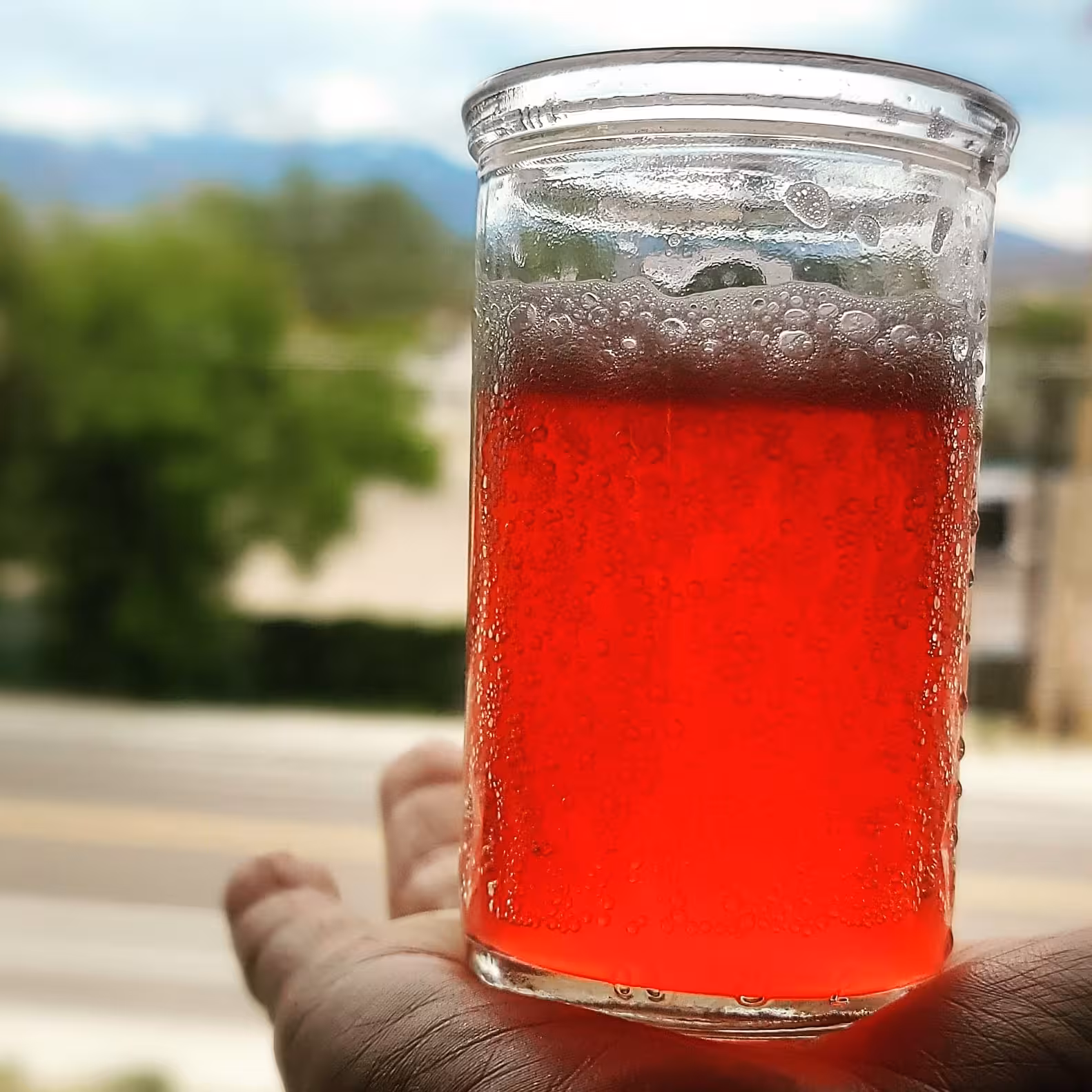 A glass of Springs Culture kombucha