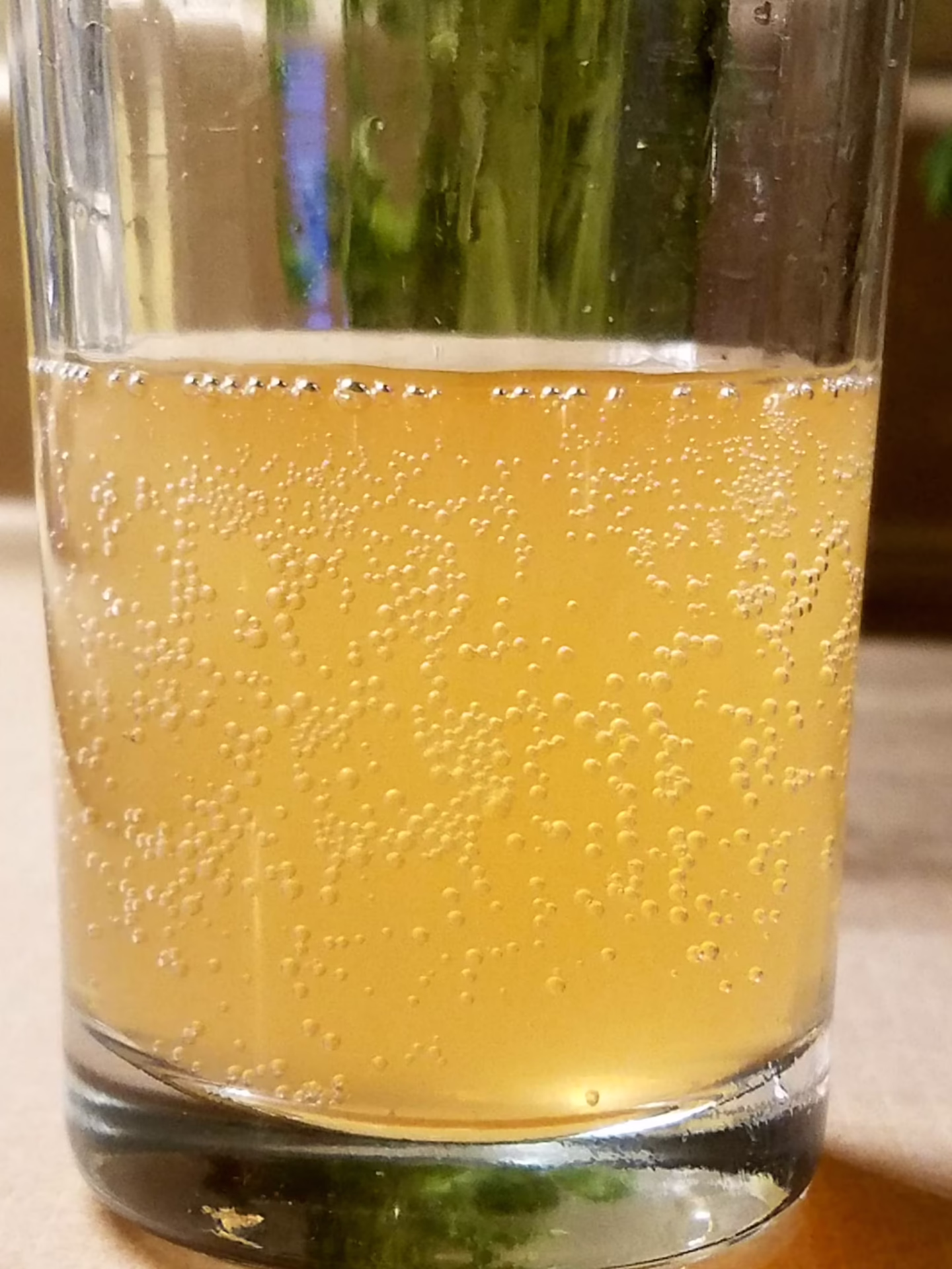 A glass of fizzy Springs Culture kombucha
