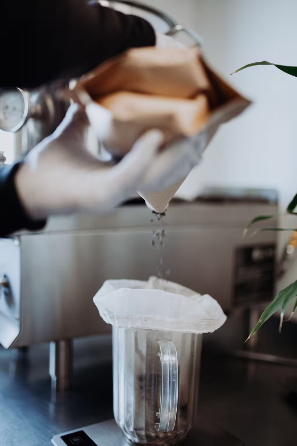 making kombucha colorado springs